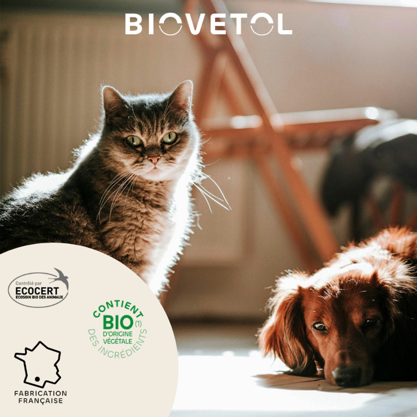 Shampooing anti-insectes Biovetol - Le Royaume de Lecki