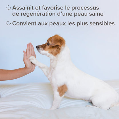 Shampooing assainissant DermaCare Beaphar - Le Royaume de Lecki