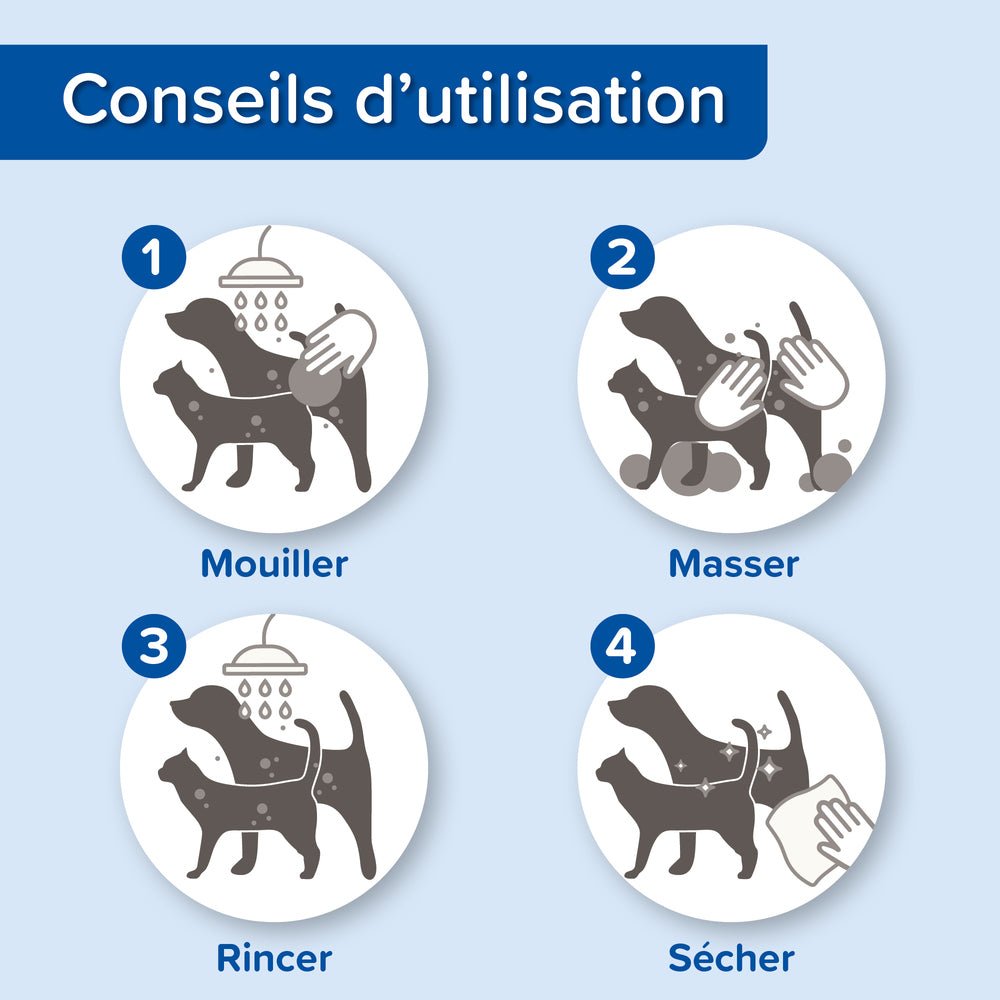 Shampooing assainissant DermaCare Beaphar - Le Royaume de Lecki