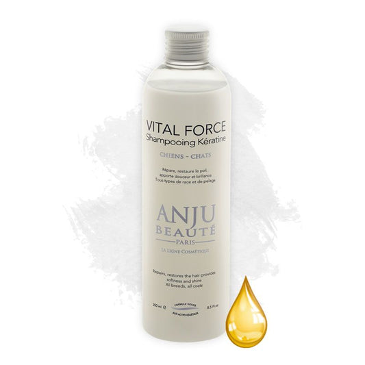 Shampooing Vital Force Anju Beauté - Le Royaume de Lecki