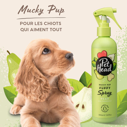 Spray sans rinçage chiots Pet Head - Le Royaume de Lecki