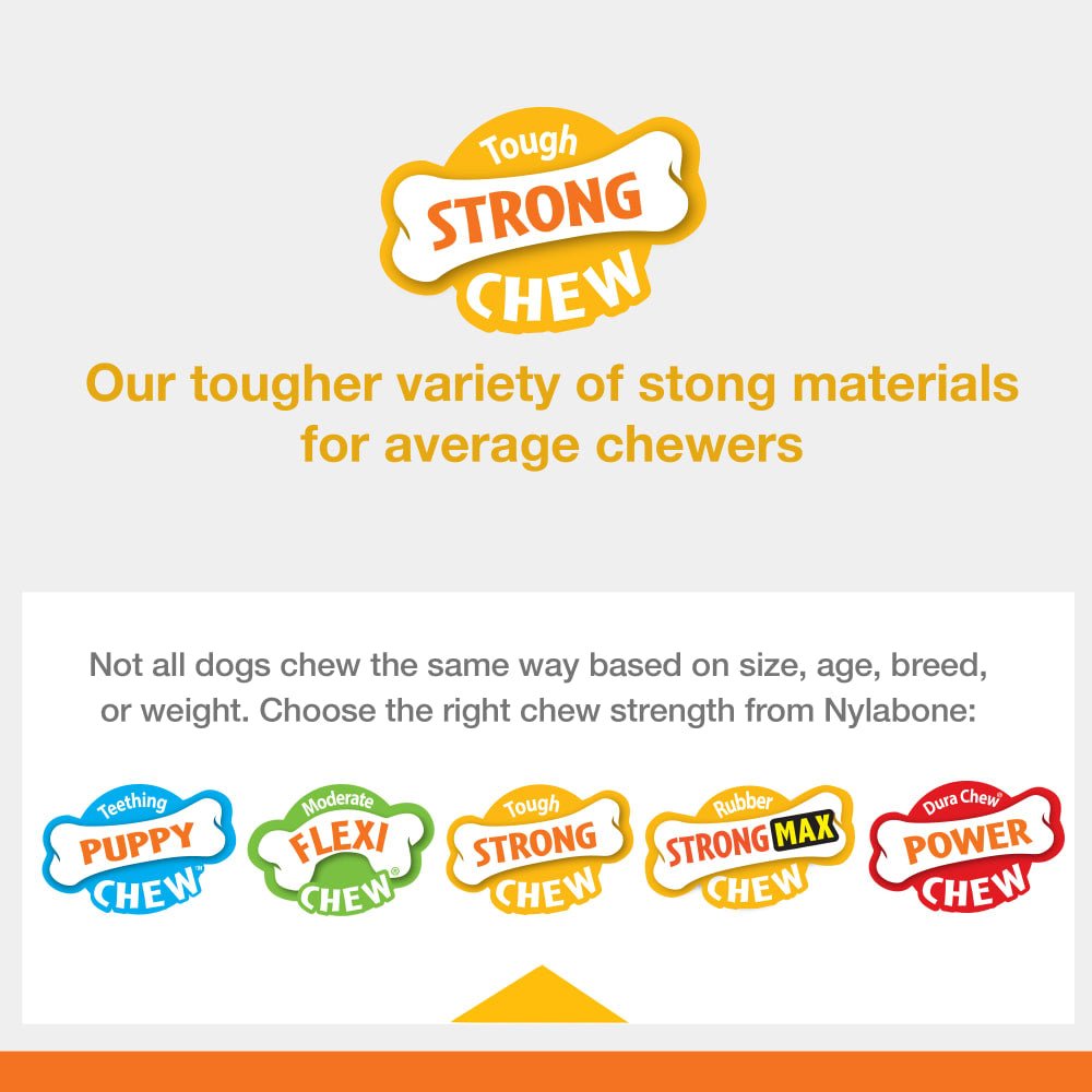 Strong Chew Peanut Nylabone - Le Royaume de Lecki