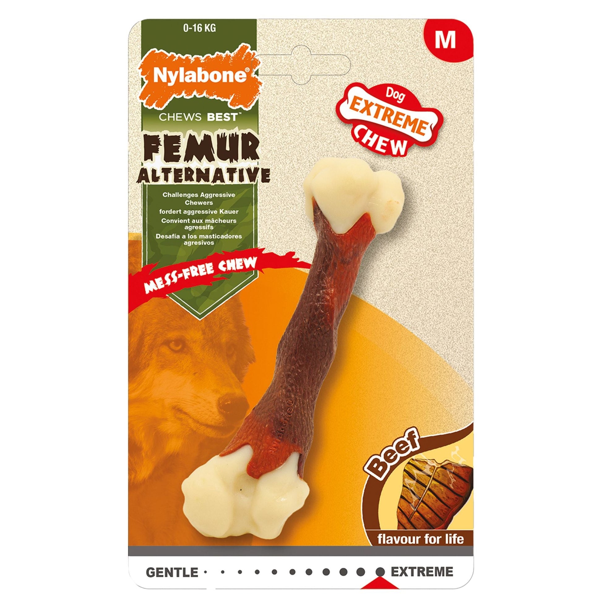 Extreme Chew Femur Nylabone - Le Royaume de Lecki