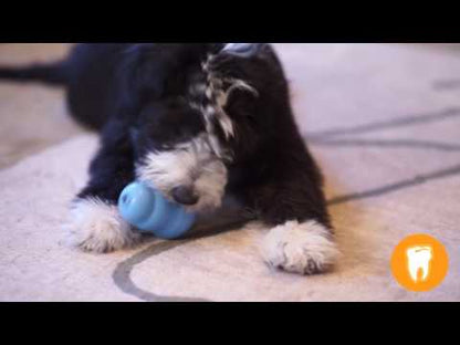 KONG® Puppy Binkie 