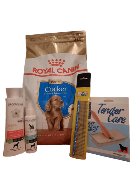 Kit Chiot Cocker Anglais - Le Royaume de Lecki