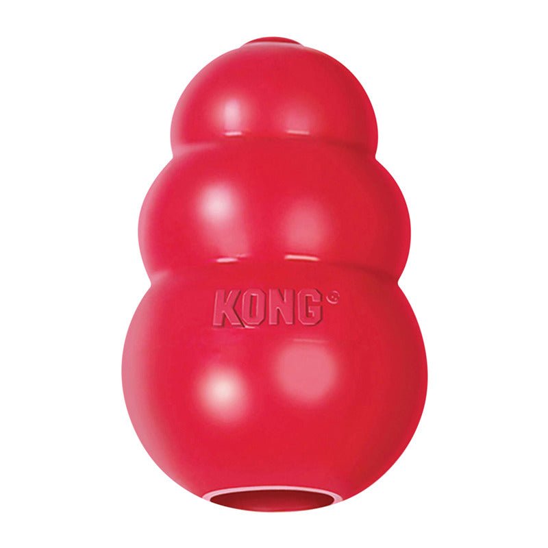 KONG® Classic - Le Royaume de Lecki