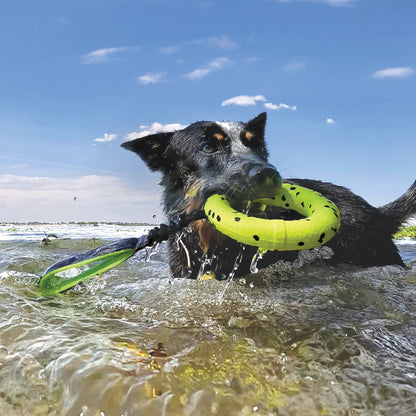 KONG® Reflex Tug - Le Royaume de Lecki