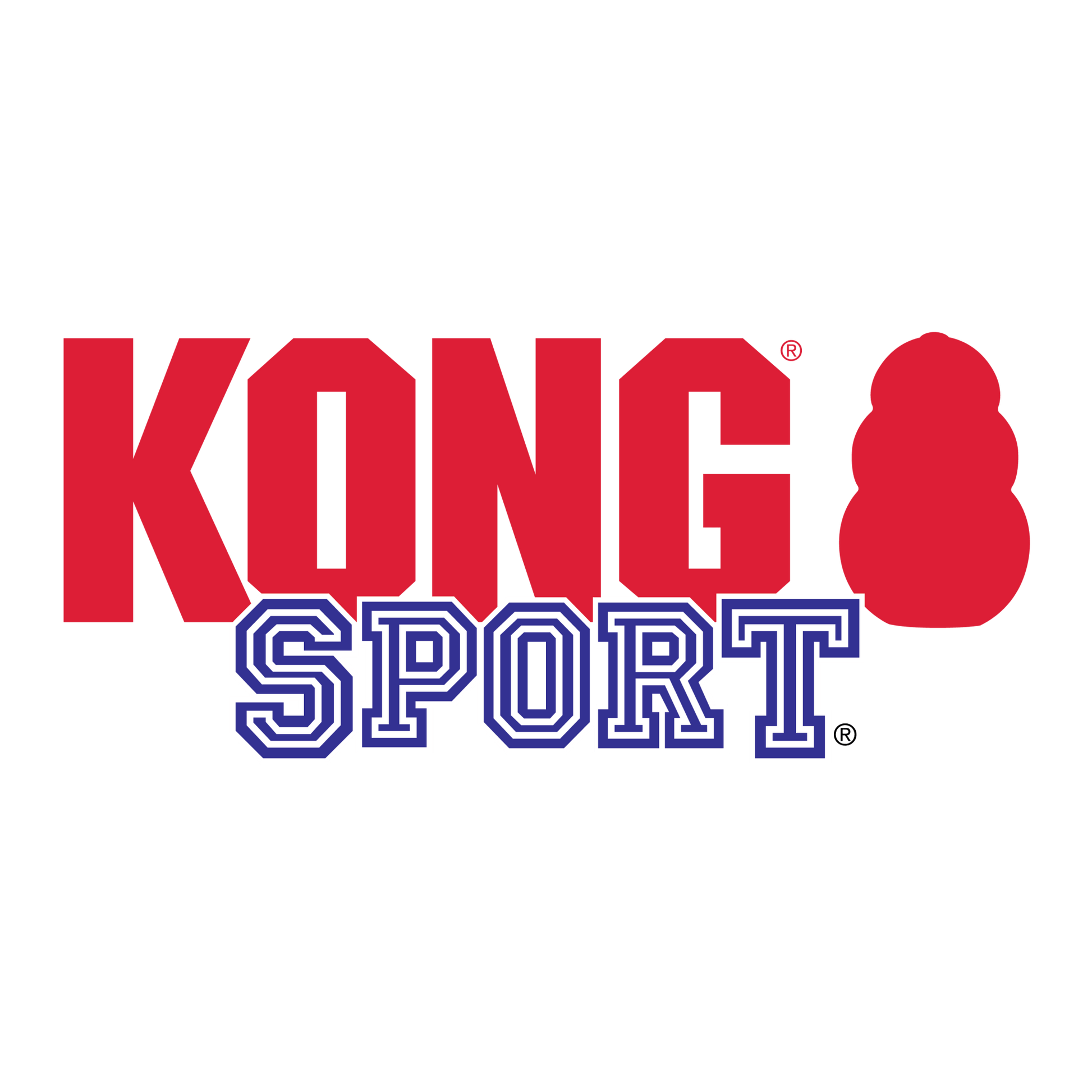 KONG® Sport Balls - Le Royaume de Lecki