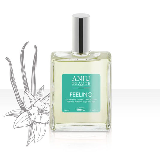 Parfum Feeling senteur Vanille - Le Royaume de Lecki