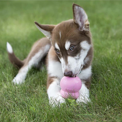 Pâte KONG® Easy Treat Puppy - Le Royaume de Lecki