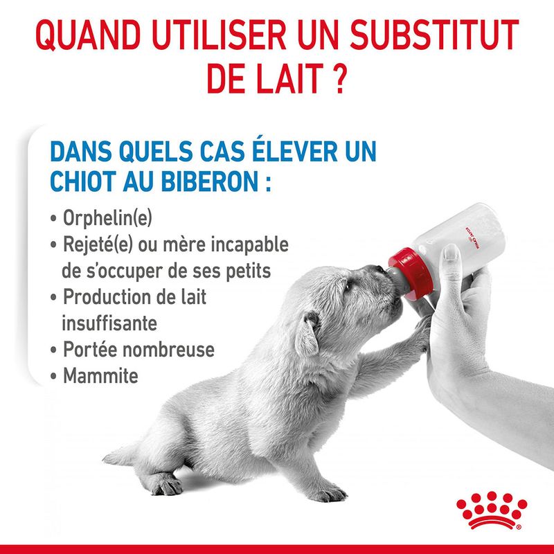 ROYAL CANIN® BabyDog Milk - Le Royaume de Lecki