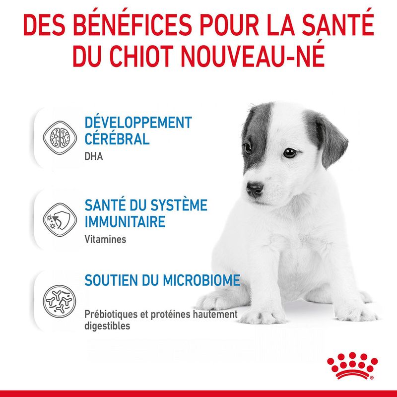 ROYAL CANIN® BabyDog Milk - Le Royaume de Lecki