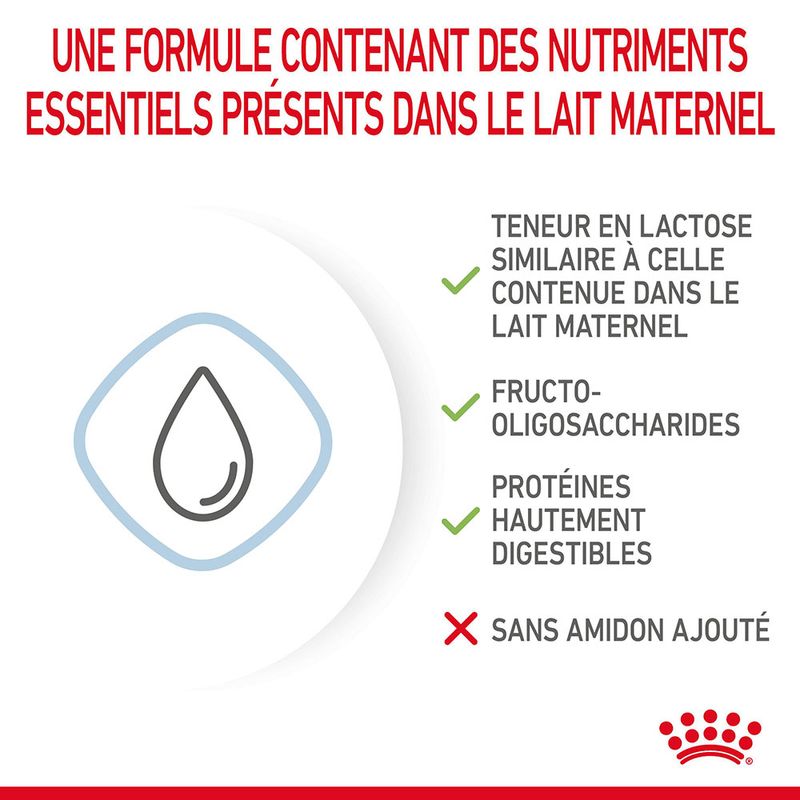 ROYAL CANIN® BabyDog Milk - Le Royaume de Lecki