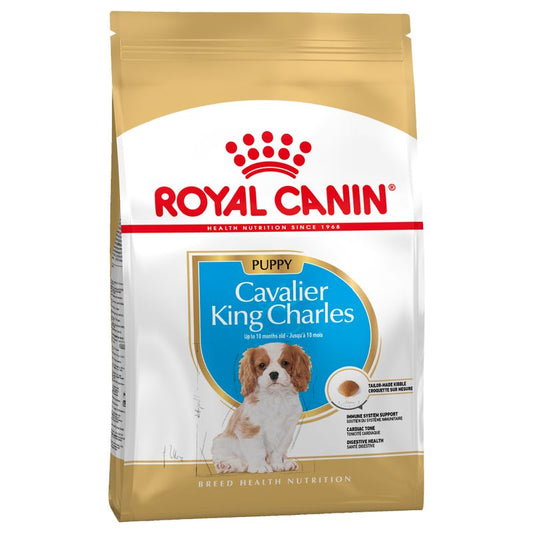 ROYAL CANIN® Cavalier King Charles Puppy - Le Royaume de Lecki