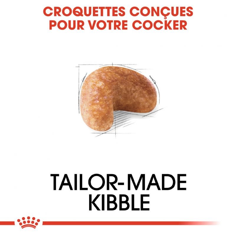 ROYAL CANIN® Cocker Adult - Le Royaume de Lecki