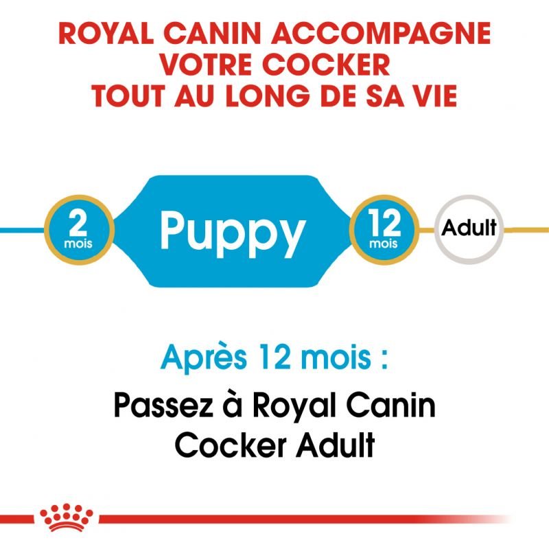 ROYAL CANIN® Cocker Puppy - Le Royaume de Lecki