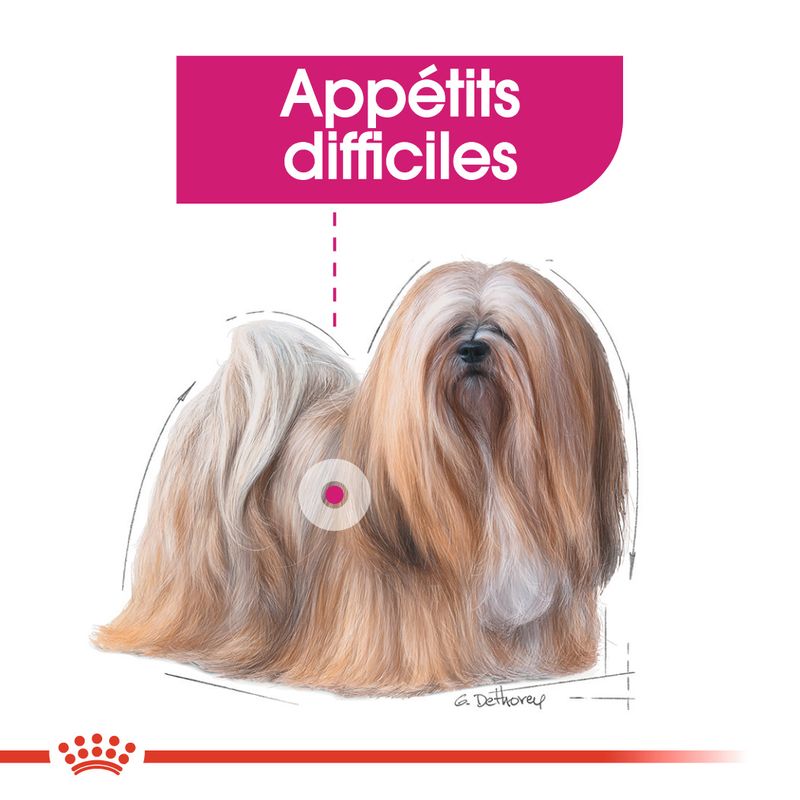 ROYAL CANIN® Exigent Mousse - Le Royaume de Lecki