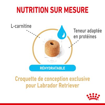 ROYAL CANIN® Labrador Retriever Adult 5+ - Le Royaume de Lecki