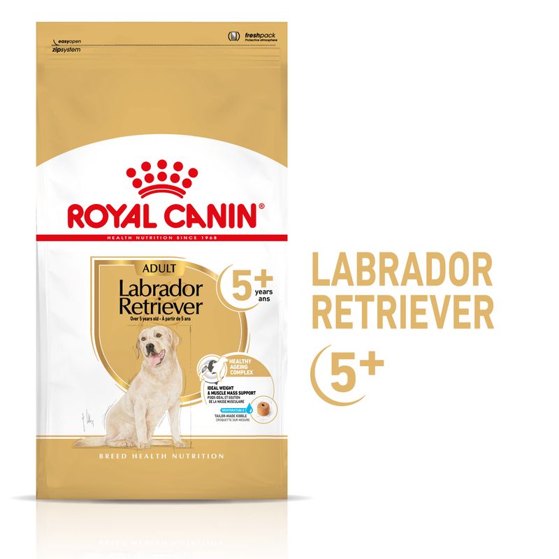 ROYAL CANIN® Labrador Retriever Adult 5+ - Le Royaume de Lecki