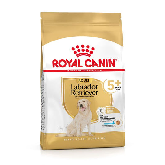 ROYAL CANIN® Labrador Retriever Adult 5+ - Le Royaume de Lecki
