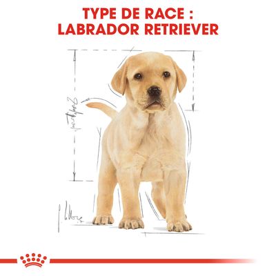 ROYAL CANIN® Labrador Retriever Puppy - Le Royaume de Lecki