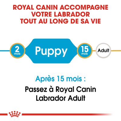 ROYAL CANIN® Labrador Retriever Puppy - Le Royaume de Lecki