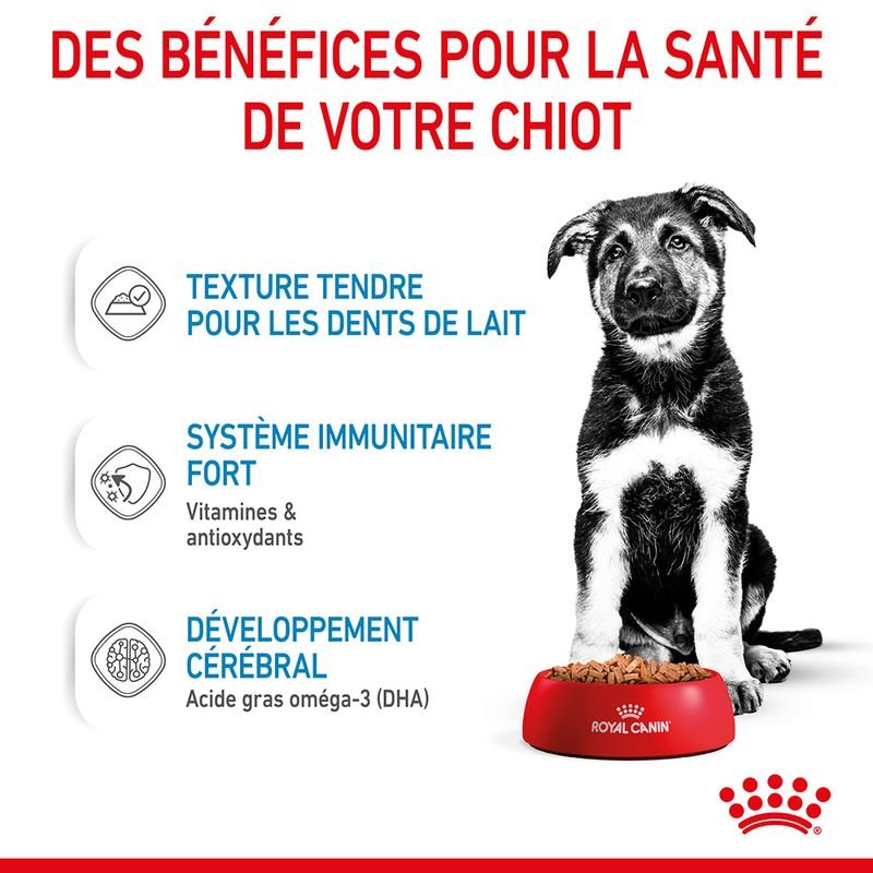 ROYAL CANIN® Maxi Puppy Sauce - Le Royaume de Lecki