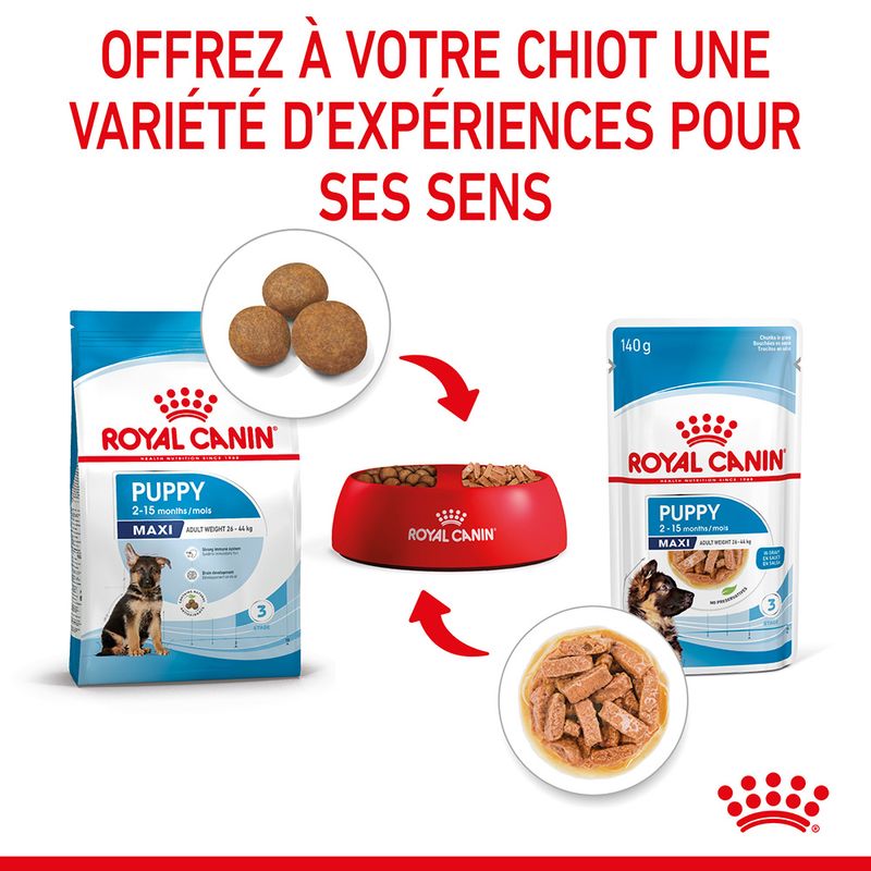 ROYAL CANIN® Maxi Puppy Sauce - Le Royaume de Lecki