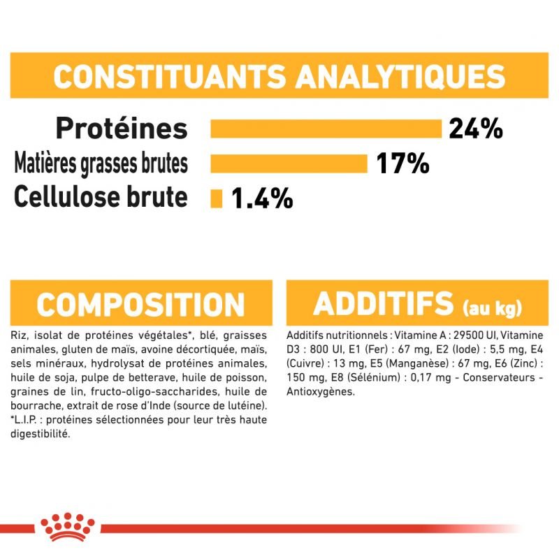 ROYAL CANIN® Medium Dermacomfort - Le Royaume de Lecki