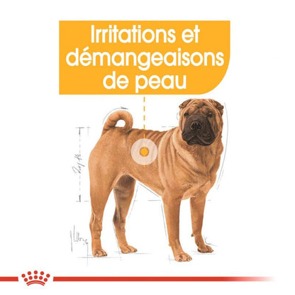 ROYAL CANIN® Medium Dermacomfort - Le Royaume de Lecki