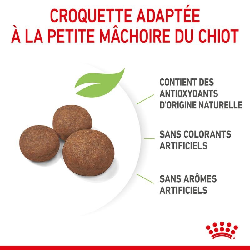 ROYAL CANIN® Medium Puppy - Le Royaume de Lecki