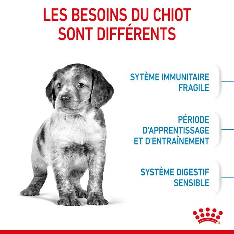 ROYAL CANIN® Medium Puppy - Le Royaume de Lecki