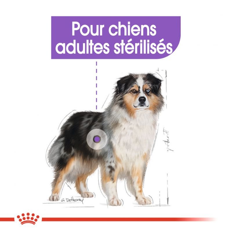 ROYAL CANIN® Medium Sterilised - Le Royaume de Lecki