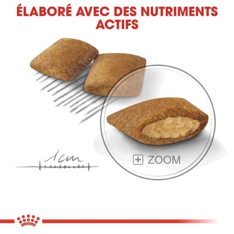 ROYAL CANIN® Mini Exigent - Le Royaume de Lecki