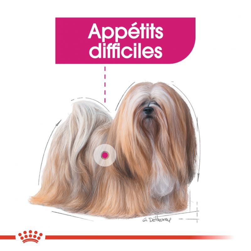 ROYAL CANIN® Mini Exigent - Le Royaume de Lecki