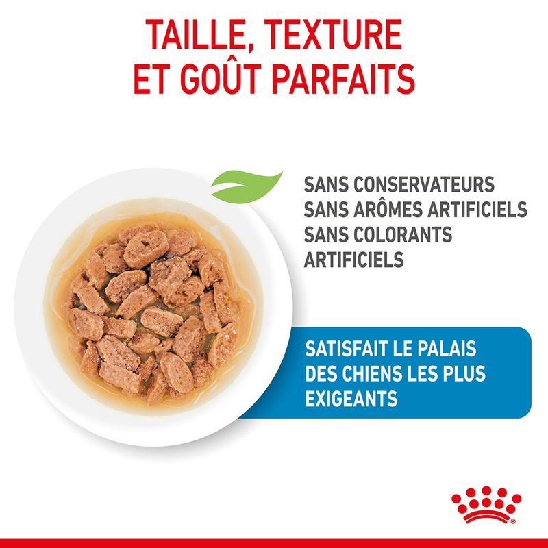 ROYAL CANIN® Mini Puppy Sauce - Le Royaume de Lecki