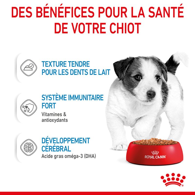 ROYAL CANIN® Mini Puppy Sauce - Le Royaume de Lecki