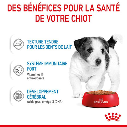 ROYAL CANIN® Mini Puppy Sauce - Le Royaume de Lecki