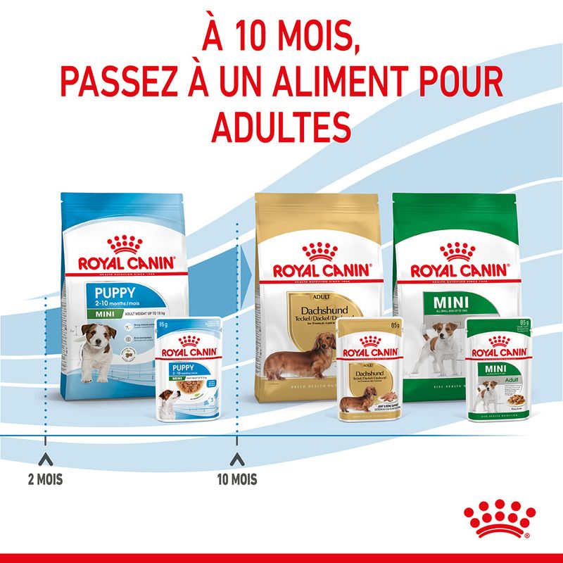 ROYAL CANIN® Mini Puppy Sauce - Le Royaume de Lecki