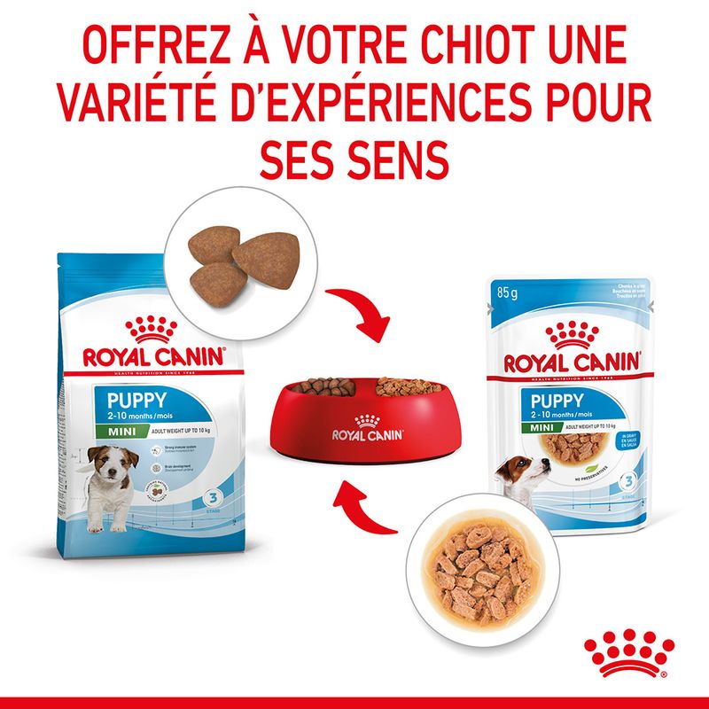 ROYAL CANIN® Mini Puppy Sauce - Le Royaume de Lecki