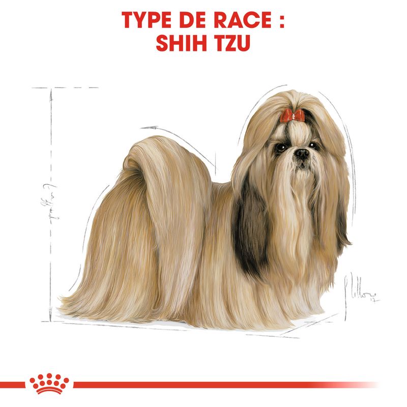 ROYAL CANIN® Shih Tzu Adult - Le Royaume de Lecki