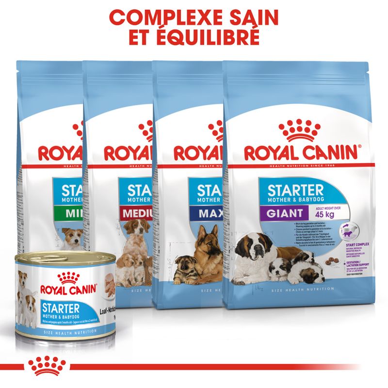 ROYAL CANIN® Starter Mousse Mother & BabyDog - Le Royaume de Lecki