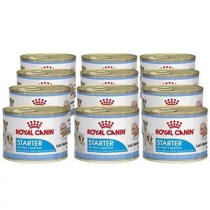 ROYAL CANIN® Starter Mousse Mother & BabyDog - Le Royaume de Lecki