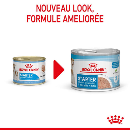 ROYAL CANIN® Starter Mousse Mother & BabyDog - Le Royaume de Lecki