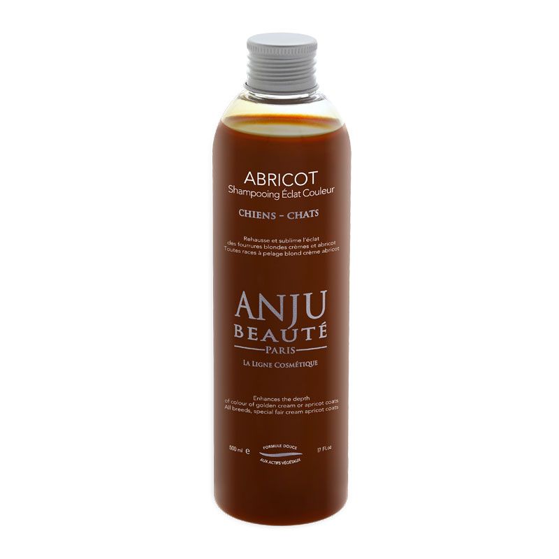 Shampooing Abricot Anju Beauté - Le Royaume de Lecki