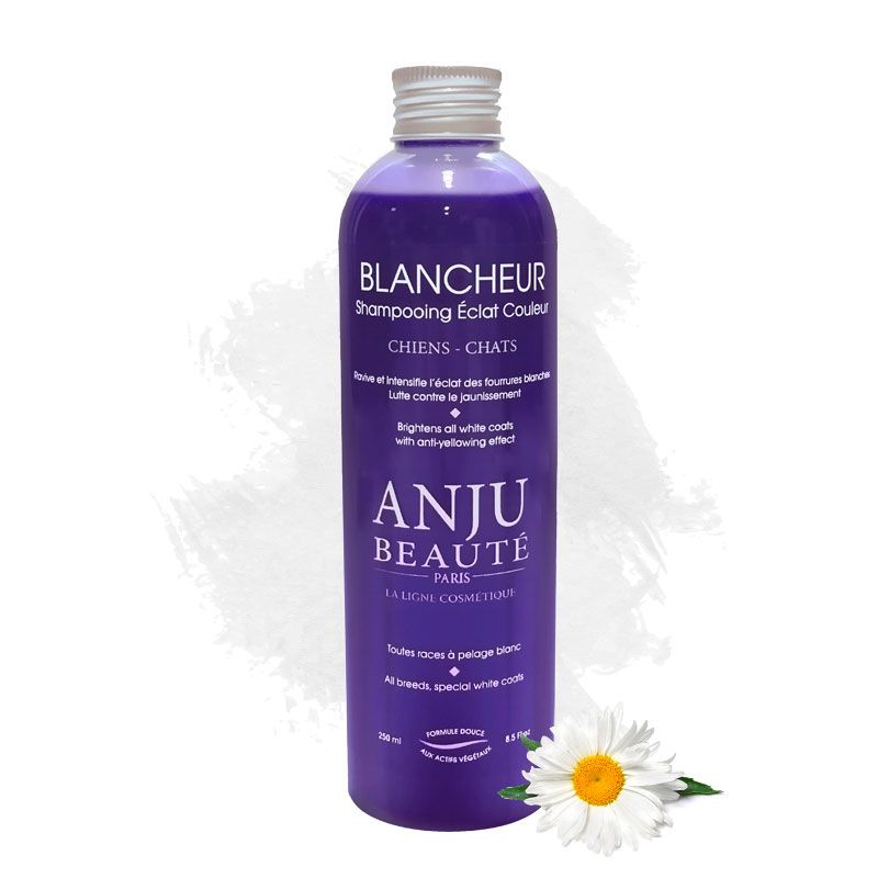 Shampooing Blancheur Anju Beauté - Le Royaume de Lecki