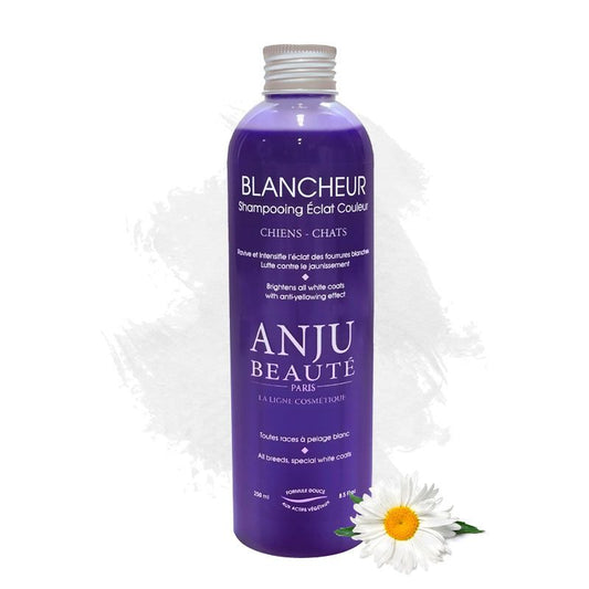 Shampooing Blancheur Anju Beauté - Le Royaume de Lecki