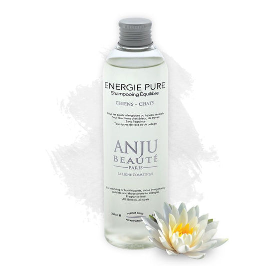 Shampooing Energie Pure Anju Beauté - Le Royaume de Lecki