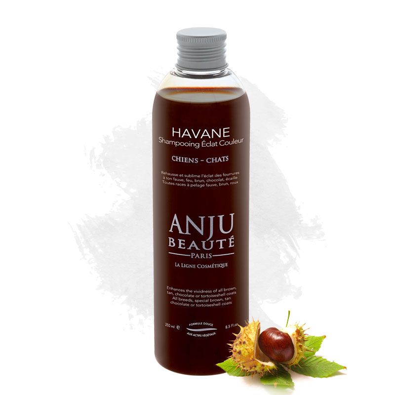 Shampooing Havane Anju Beauté - Le Royaume de Lecki