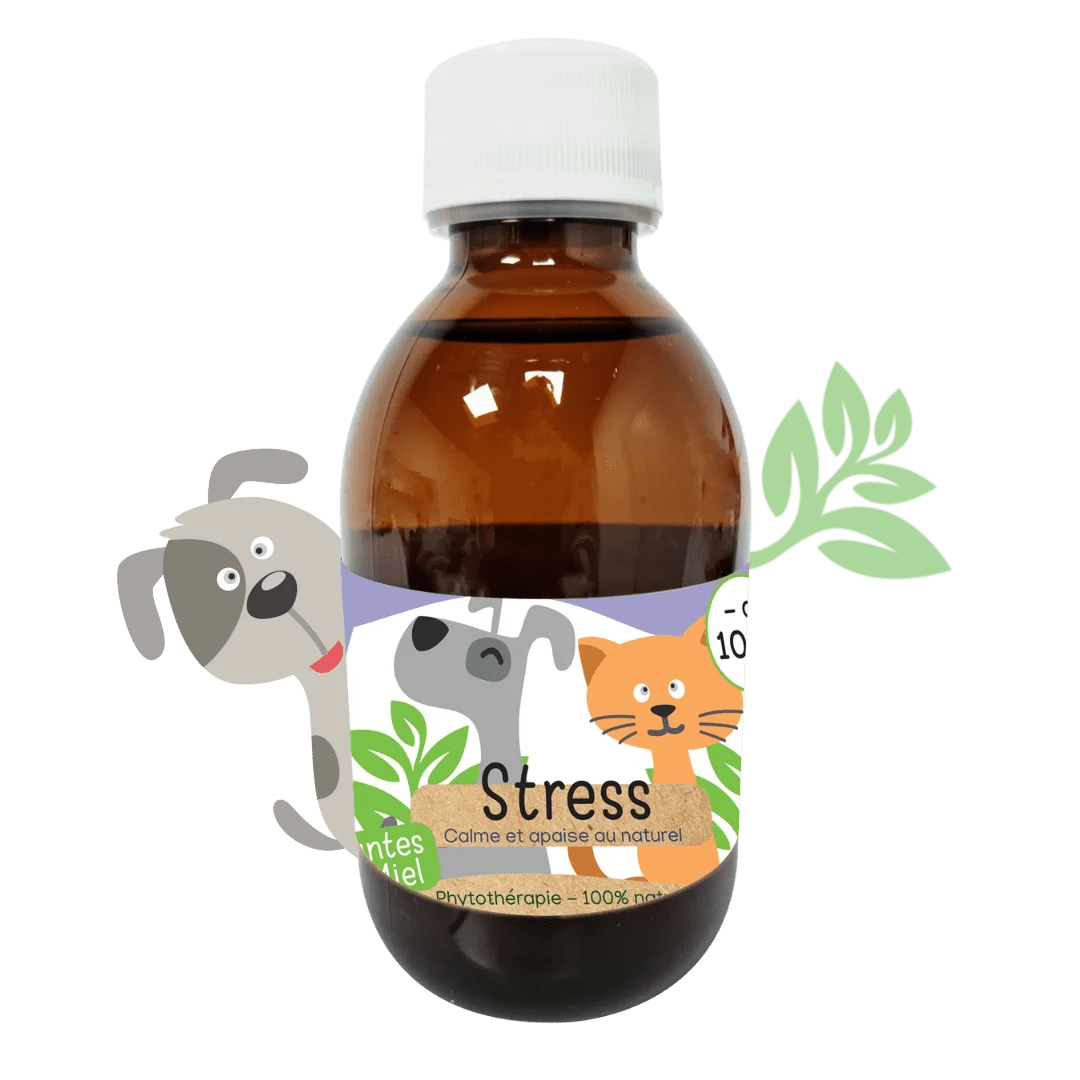 Sirop naturel Anti-stress chiens et chats Kas Tête - Le Royaume de Lecki